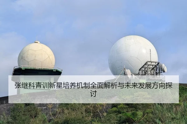张继科青训新星培养机制全面解析与未来发展方向探讨